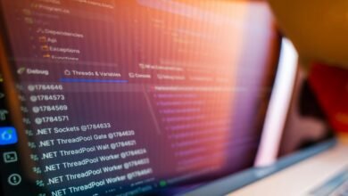 digital framework for growth